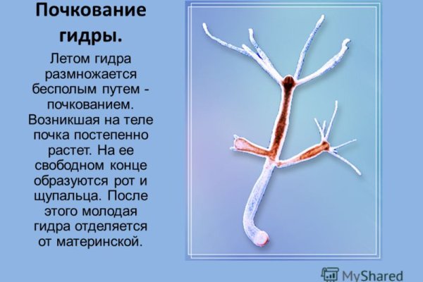 Кракен торговая площадка даркнет