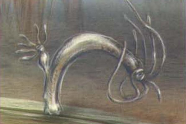 Kraken tor link