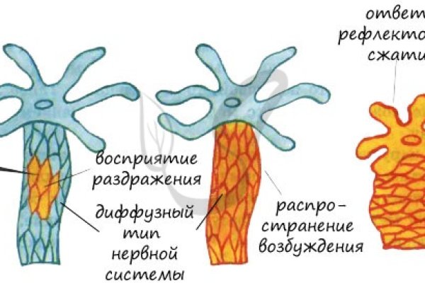 Кракен площадка что это