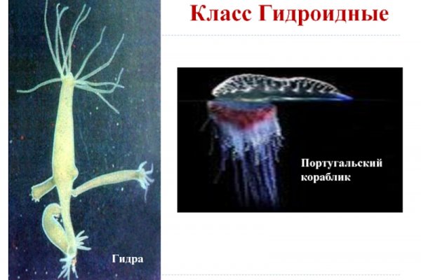 Сайт kraken darknet