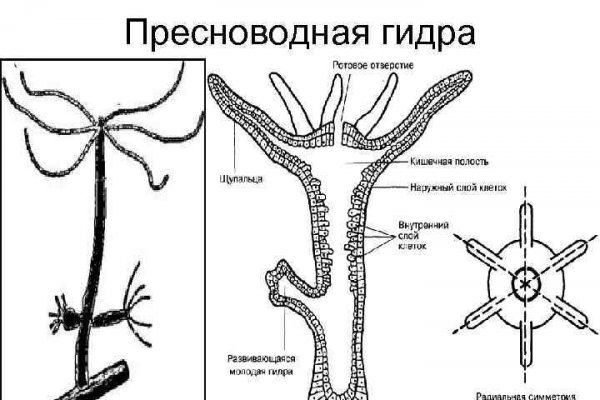 Работающий сайт кракен